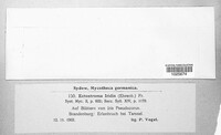 Image Associated With the Occurence